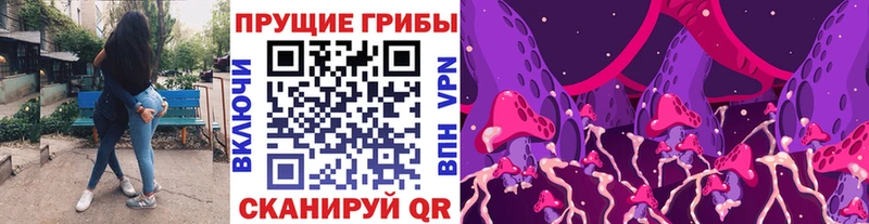 дарнет шоп  сайты даркнета телеграм  Псилоцибиновые грибы GOLDEN TEACHER  Касимов 
